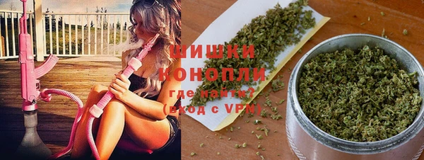 спиды Снежногорск